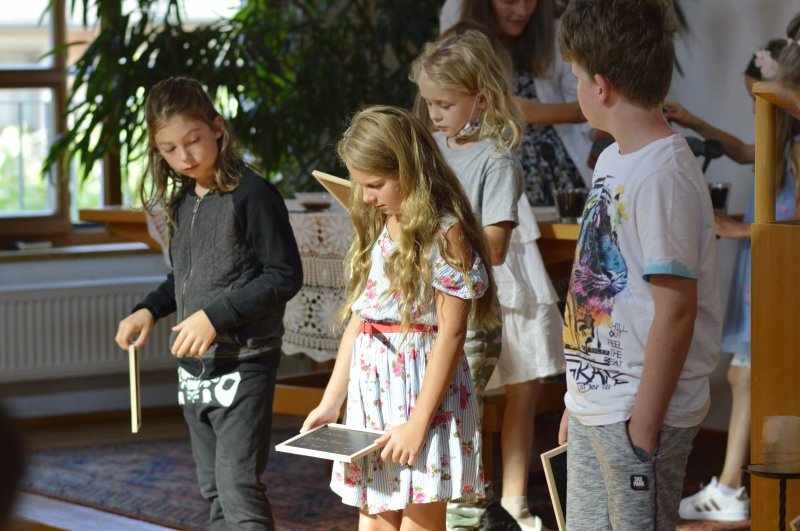 Bild 225