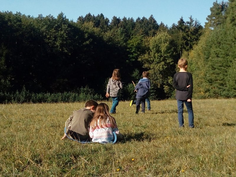 Bild 263