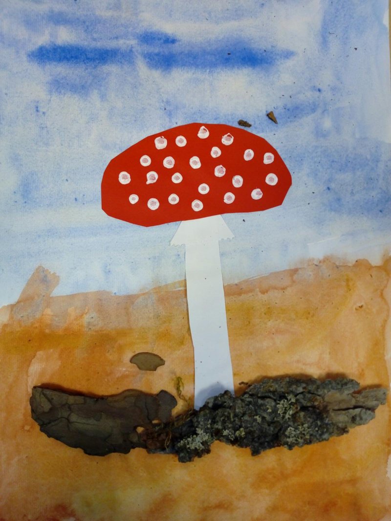 Bild 288