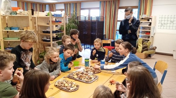 Bild 493