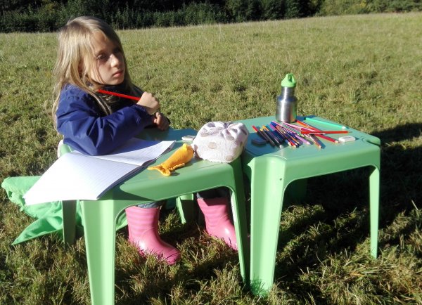 Bild 584