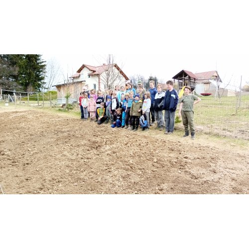 Bild 29 zum Block 4881