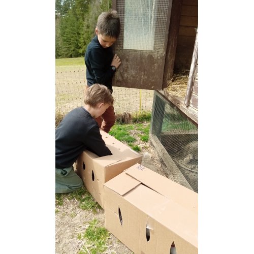 Bild 2 zum Block 4898