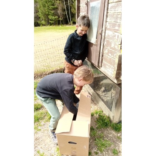 Bild 3 zum Block 4898