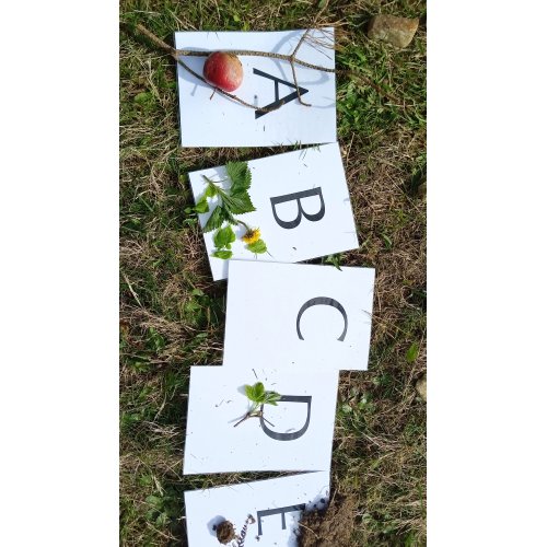 Bild 19 zum Block 4903