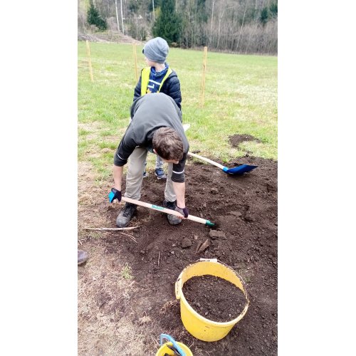 Bild 5 zum Block 4943