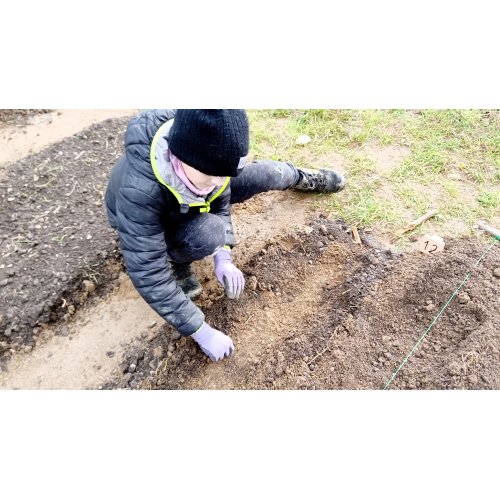 Bild 38 zum Block 4943