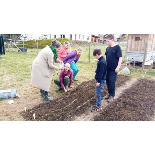 Bild 43 zum Block 4943