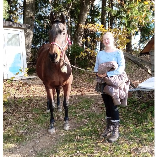 Bild 6 zum Block 5350