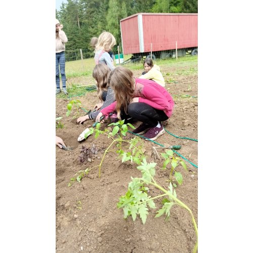 Bild 16 zum Block 5483