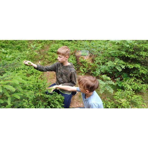 Bild 7 zum Block 5483