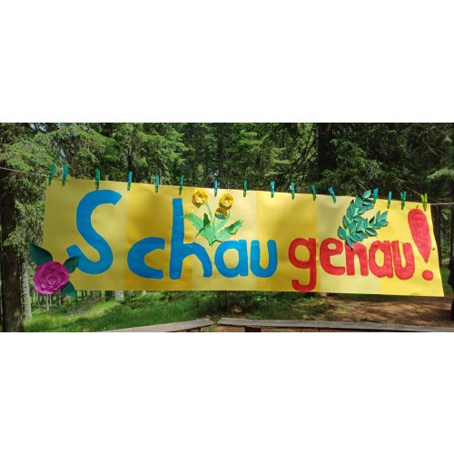 Bild 5 zum Block 5517