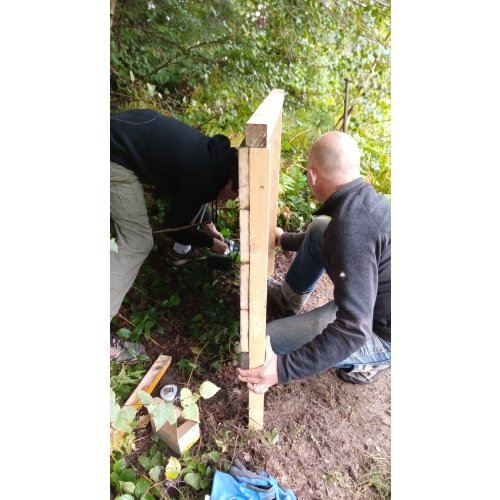Bild 2 zum Block 5623