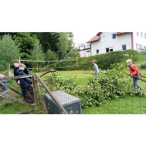 Bild 12 zum Block 5623