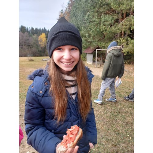 Bild 43 zum Block 5355