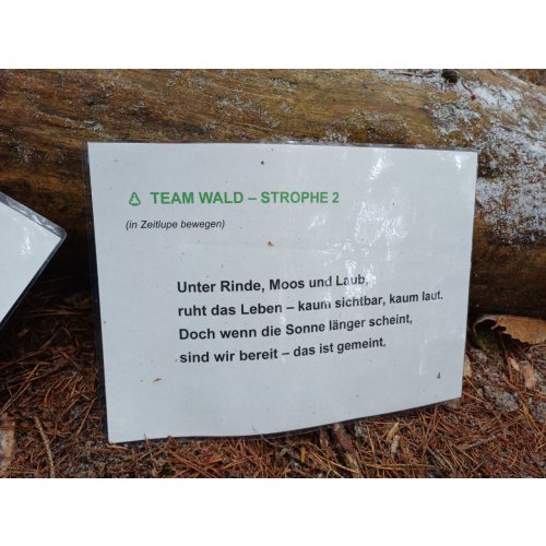 Bild 12 zum Block 6177